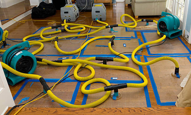 Professional Structural Drying And Dehumidification technician working in Santee, SC